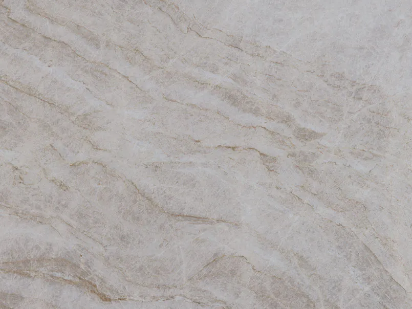 Close-up of a quartzite slab with soft beige veining
